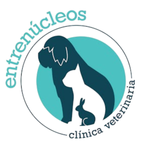 logotipo
