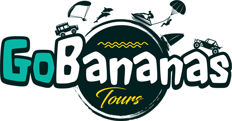 logotipo