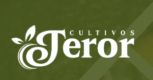 logotipo
