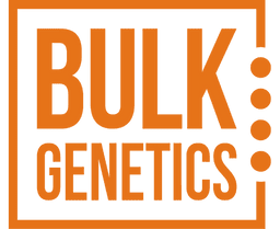 logotipo