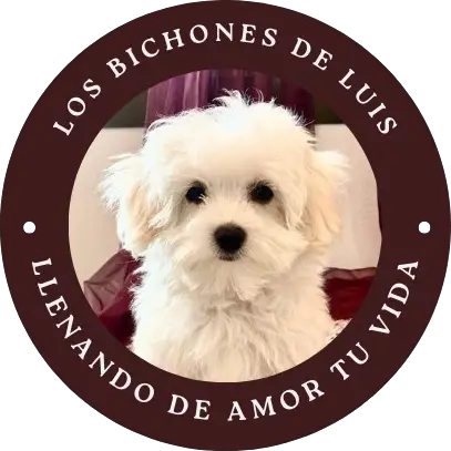logotipo