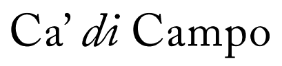 logotipo