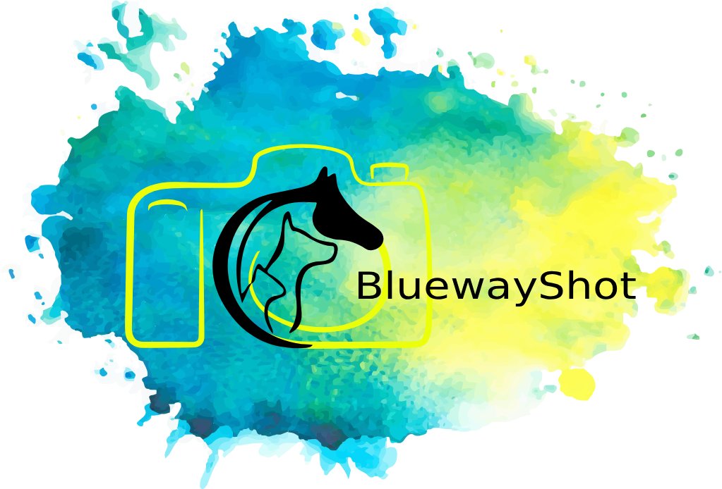 logotipo